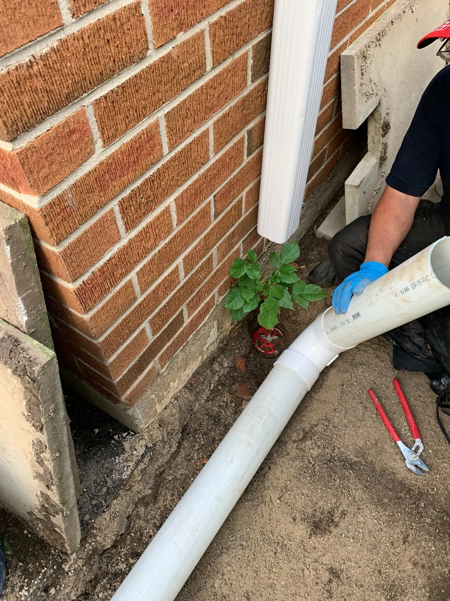 Check rebate pathways